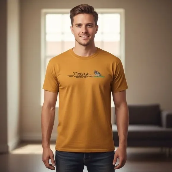 Gildan Texas Davis Mountains State Park Indian Lodge Graphic T-Shirt XL - Picture 2 of 4